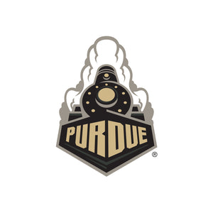Purdue 16oz Stainless Pint