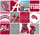 Alabama college vault 22oz bottle by gametimesidekicks, white with team logo and design, clear view of bottle with cap.