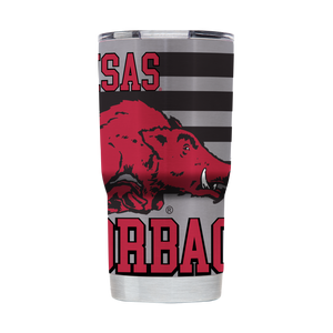 Arkansas 20oz College Vault Tumbler