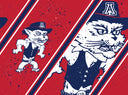 Arizona Straw Tumbler College Vault Splatter