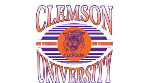 Clemson College Vault 16oz 2-Pack Glass Tumblers