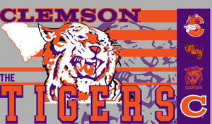 Clemson College Vault 20oz Tumbler