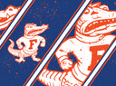 Florida College Vault Splatter Straw Tumbler