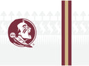 Florida State ProGloss straw tumbler with full team logo design, white background, durable plastic construction, perfect for fans.