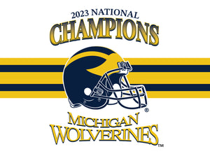 Michigan 16oz 2-Pack Glass Tumblers - 2023 National Champs