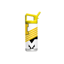 Michigan 16oz Youth Bottle