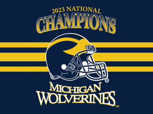 Michigan Stainless Steel Shaker - 2023 National Champs