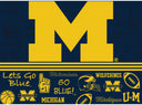 Michigan Youth Stainless Steel Shaker Bottle