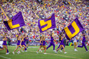 LSU Vault Collection Stainless Steel Skinny Can Koozie