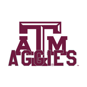 Texas A&M 16oz Stainless Pint